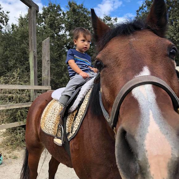 Meet your Posher, Michael - Picture 1 of 1